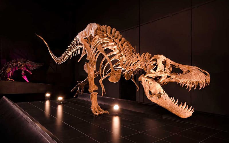 dinosaurios en España