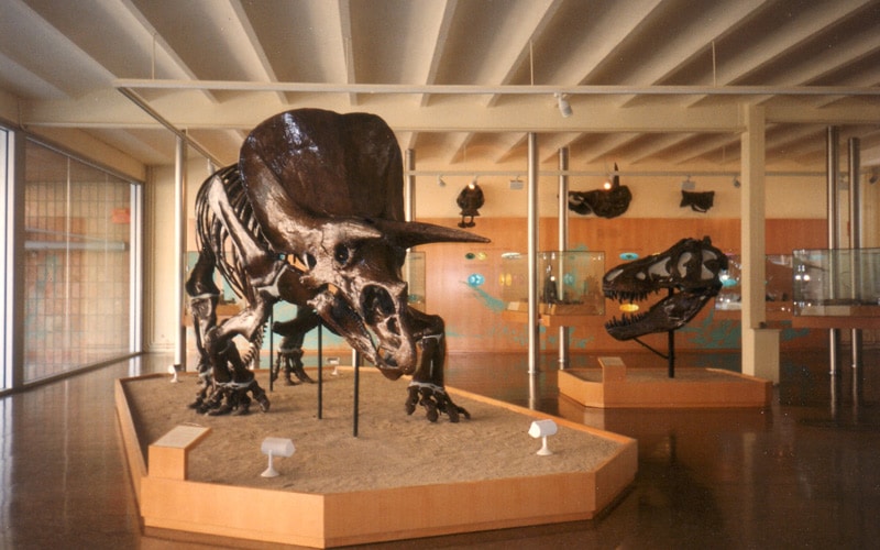 dinosaurios en España