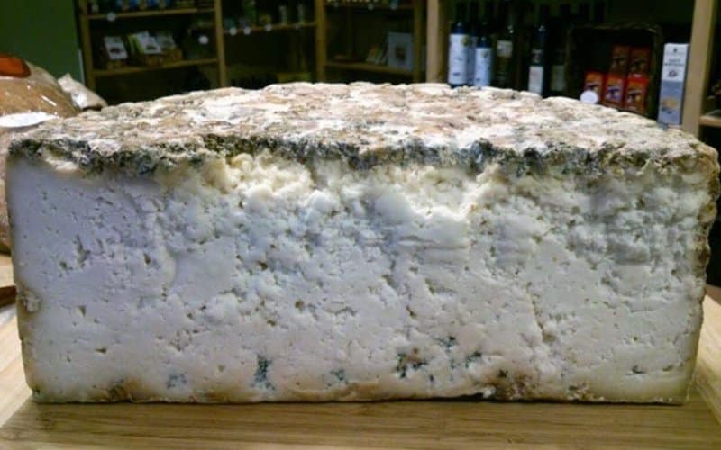 Cave cheese of Pregondón