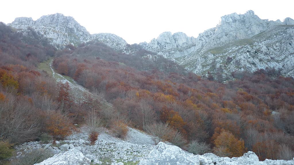 Hayedos de Aizkorri