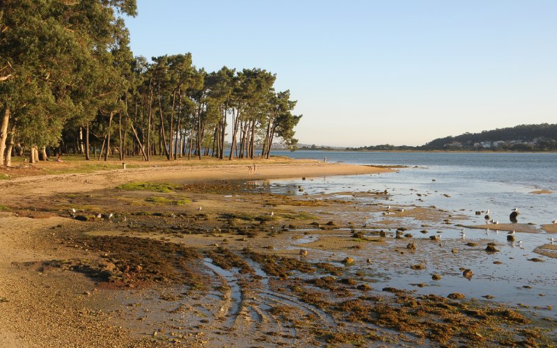 La Toja isla