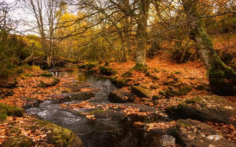 Otoño en Las Loras, Aguilar de Campoo geoparque
