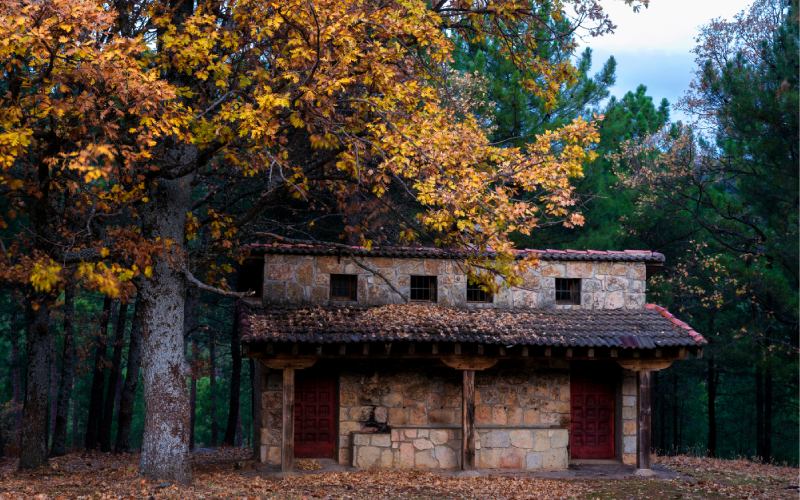 Castañar de El Tiemblo Ávila