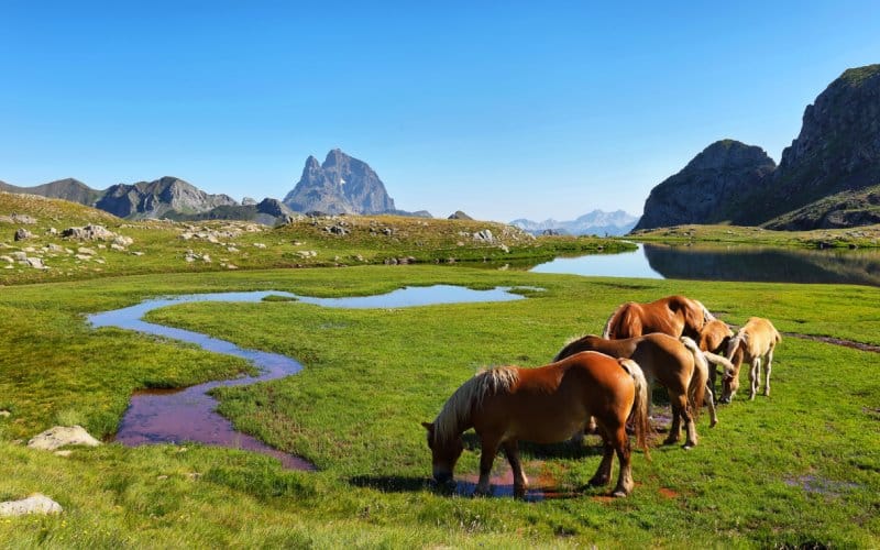 Anayet en el valle de Tena