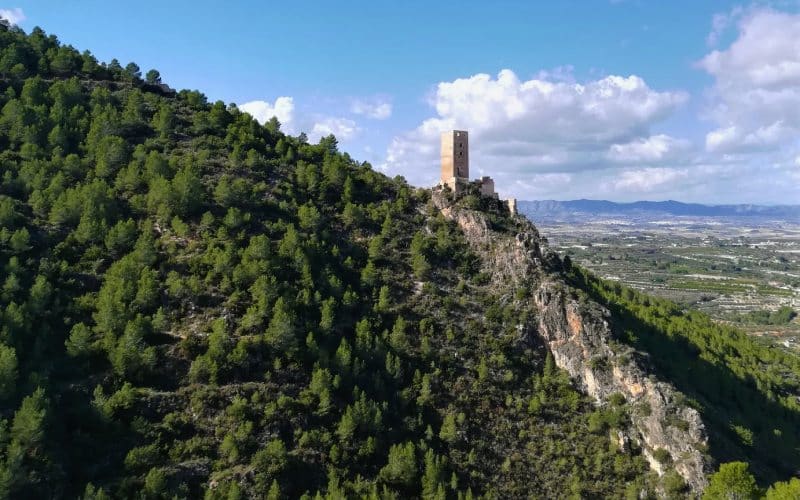 Castillo de Carrícola