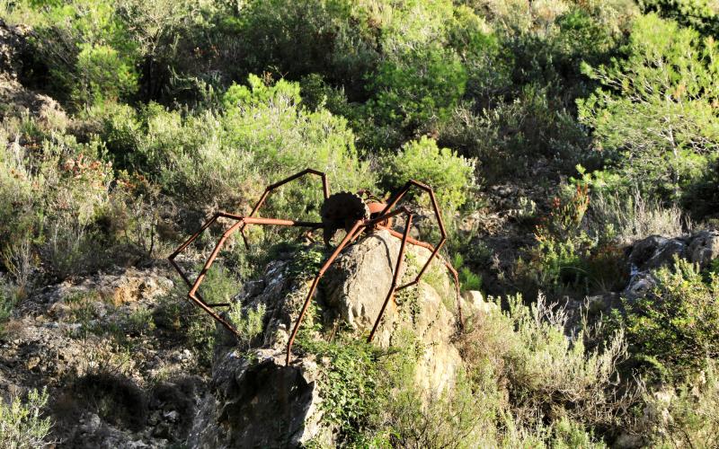 Proyecto Biodivers en Carrícola