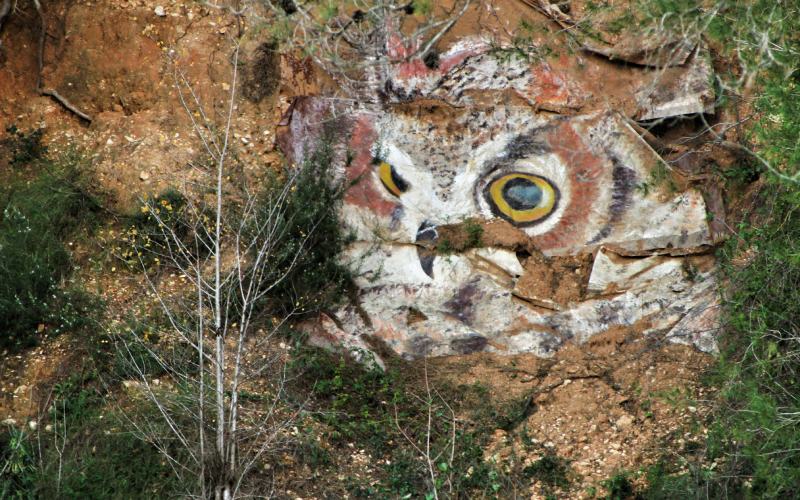 Una obra de Biodivers en Carrícola