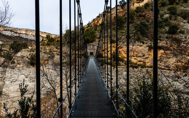 Suspension bridge in Congost de Mont-Rebei