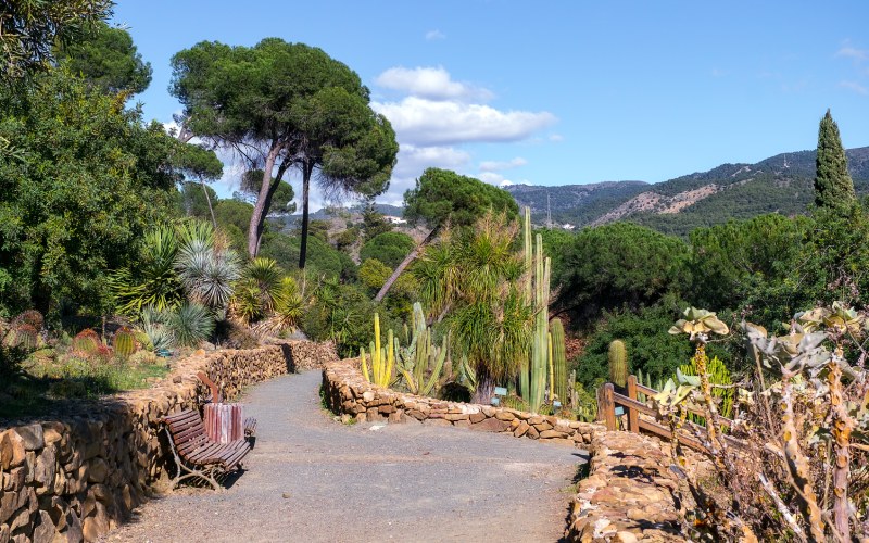 A sample of the great variety of vegetation coexisting in the garden