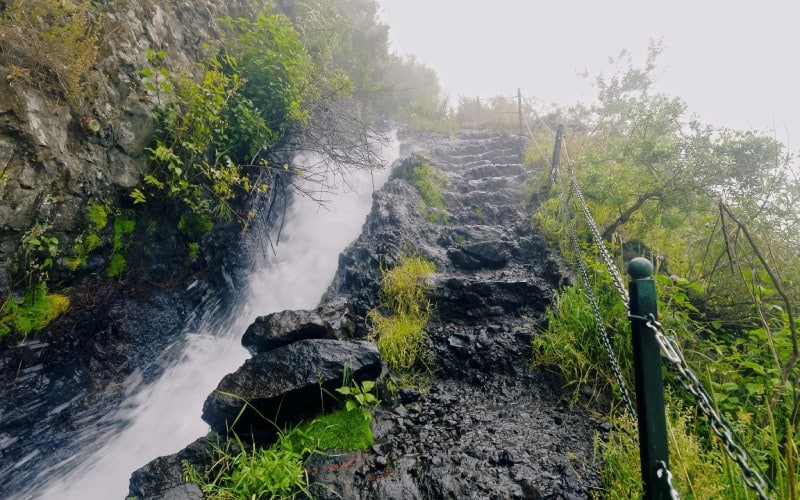 Marcos y Cordero springs