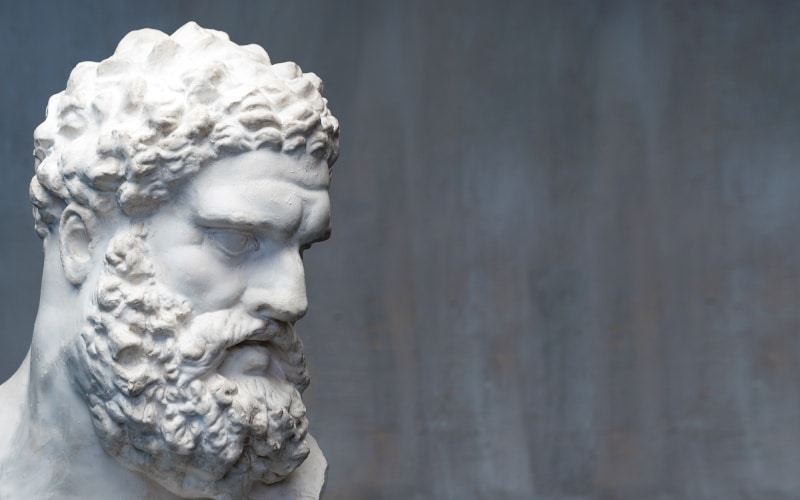 Bust of Hercules