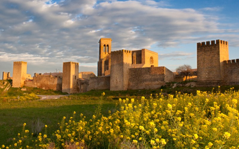 Fence of Artajona and church of San Saturnino