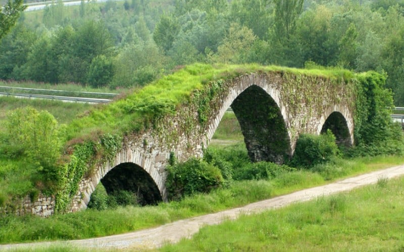 Olloniego