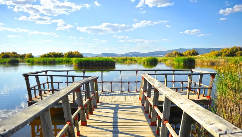 Las Tablas de Daimiel