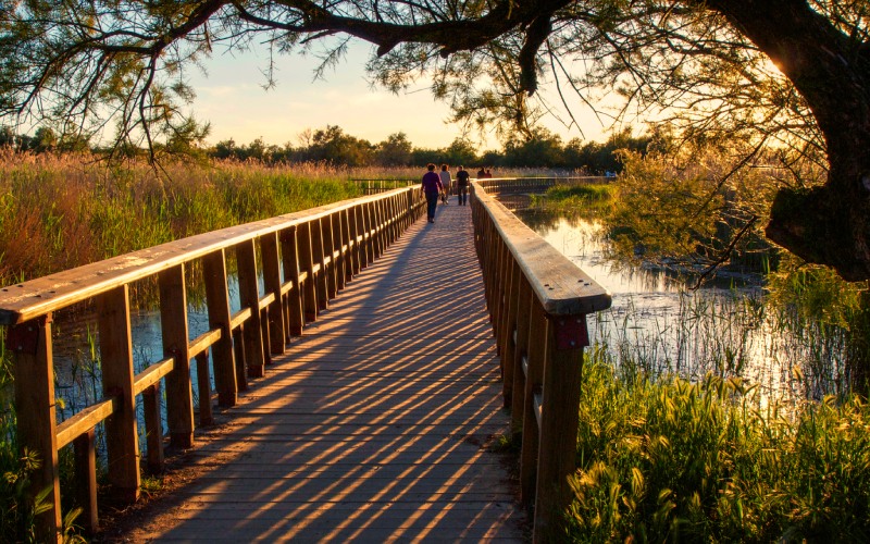 Las Tablas de Daimiel 