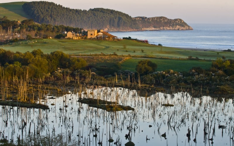 Rabia estuary