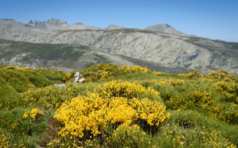 Sierra de Gredos
