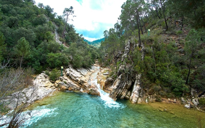 Cazorla