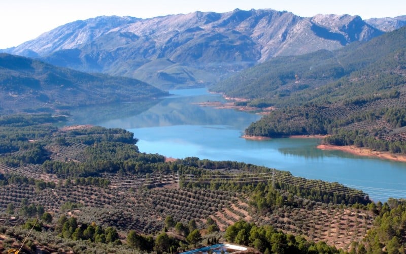 Cazorla