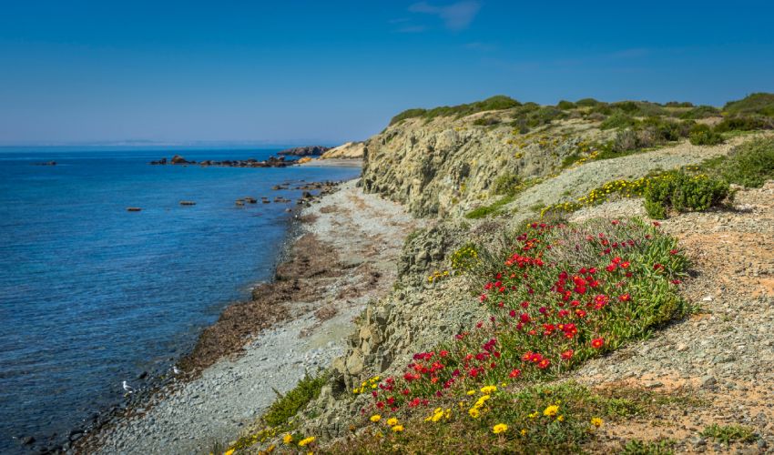 Tabarca 
