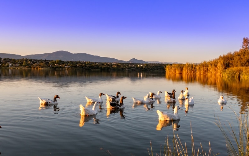 Cazalegas Reservoir