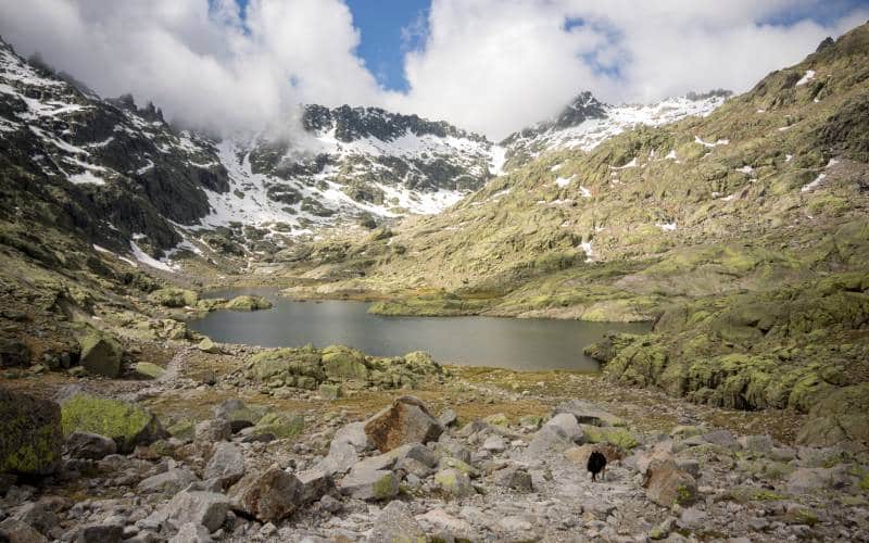 Sierra de Gredos