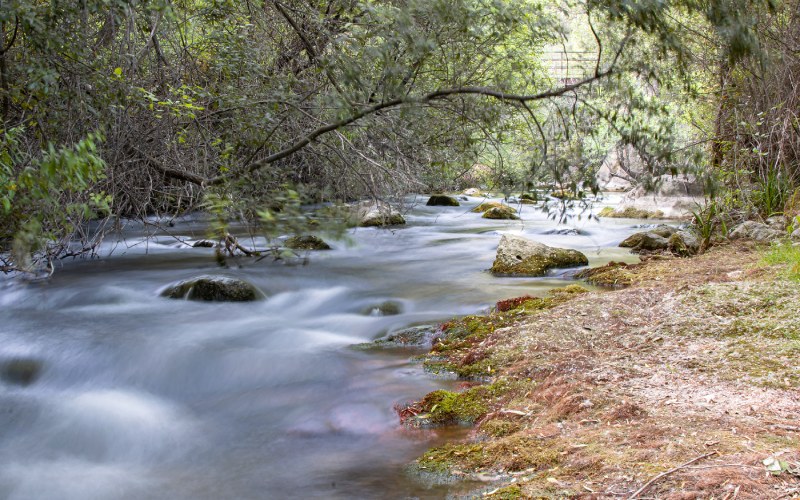 river Castril