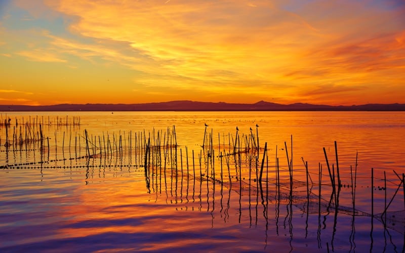 Albufera of Valencia