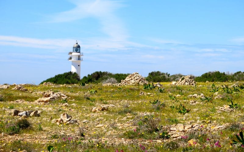 Cape Barbaria