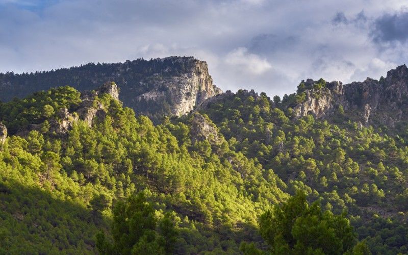 Sierra de las Nieves
