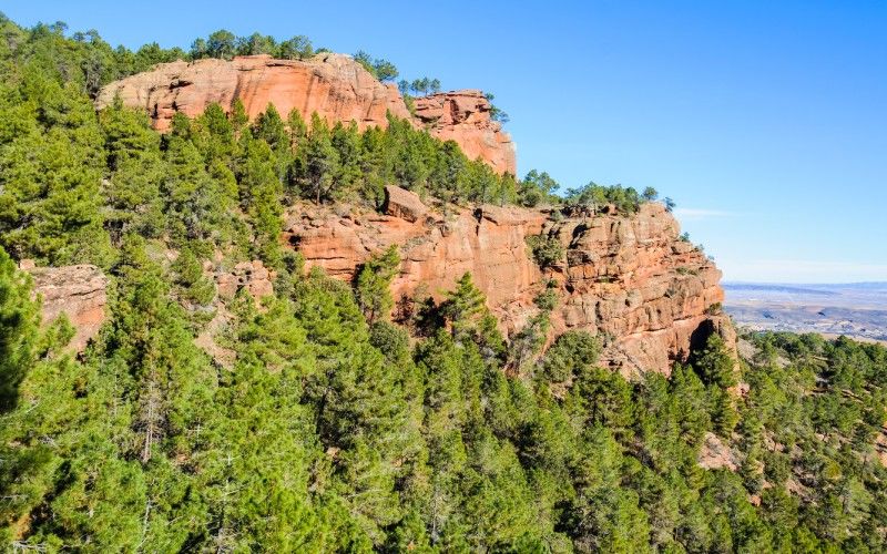 Pinares de Rodeno
