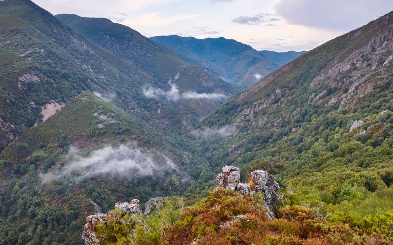 Integral Natural Reserve of Muniellos