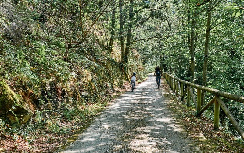 Bear Path
