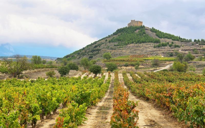Davalillo Castle
