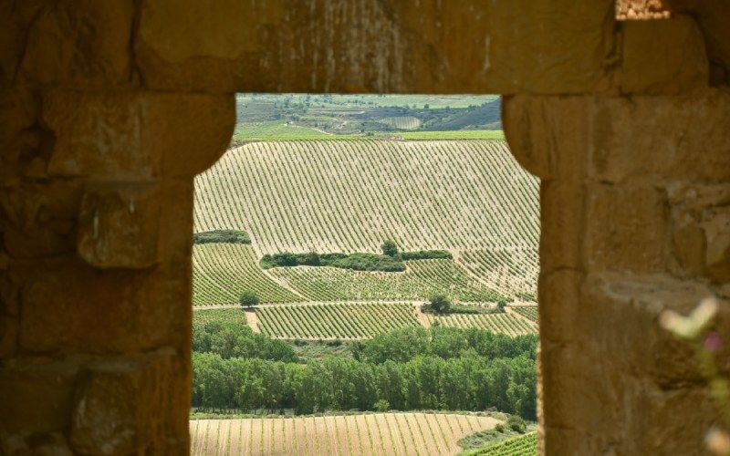 Davalillo