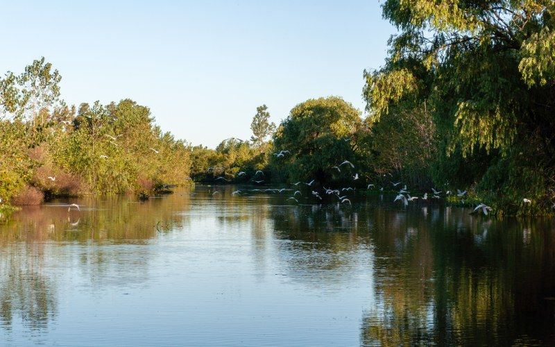 La Plata River