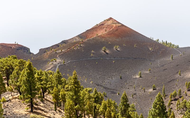 La Palma