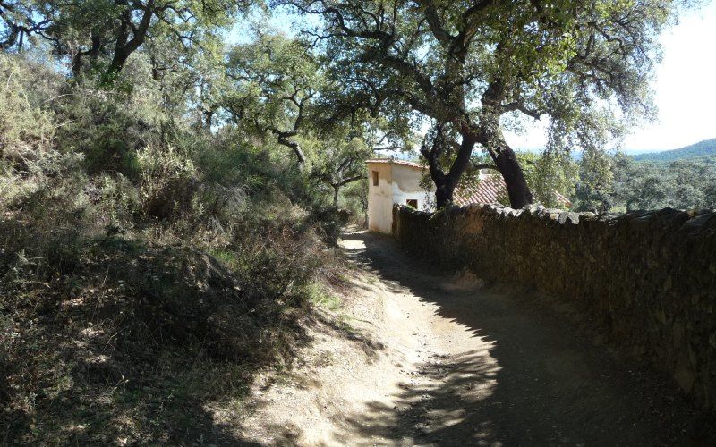  El Calabacino