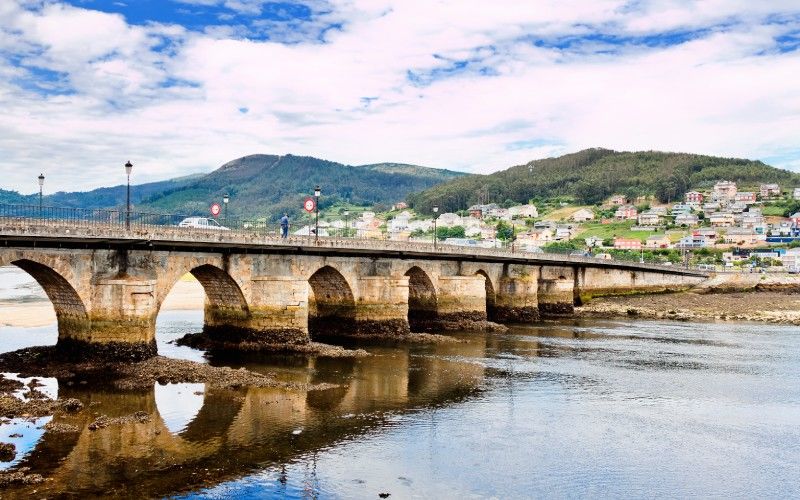 Viveiro 