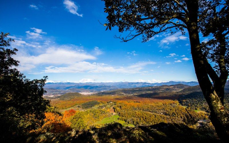 fageda d'en jordà