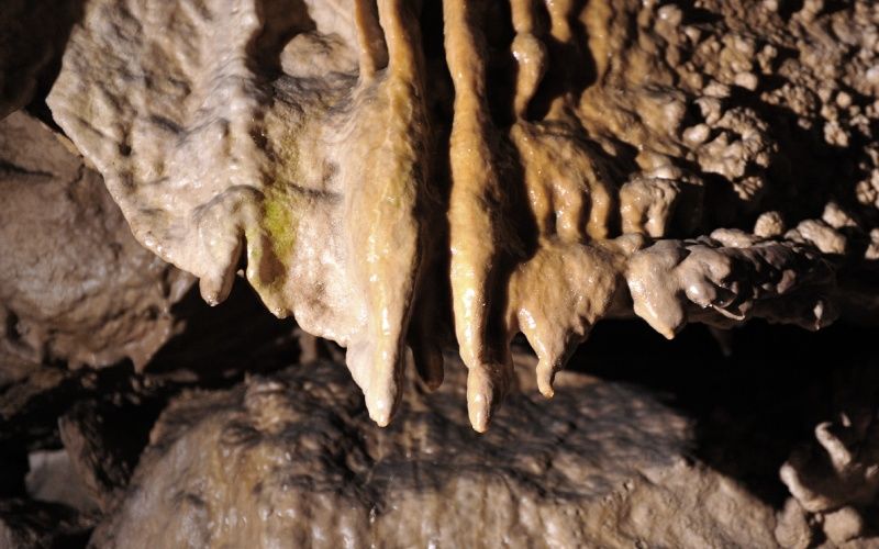 Bats Cave