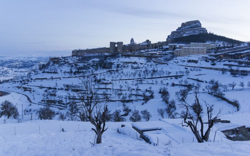 Morella snow