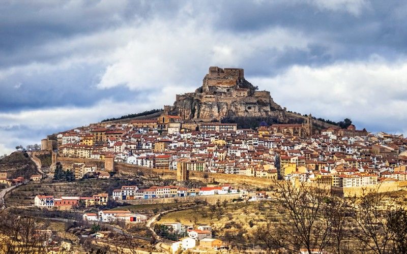 Morella