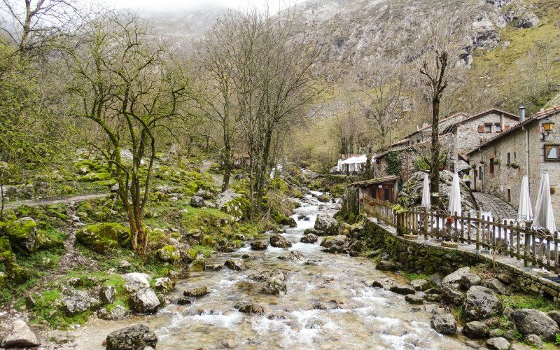 Bulnes