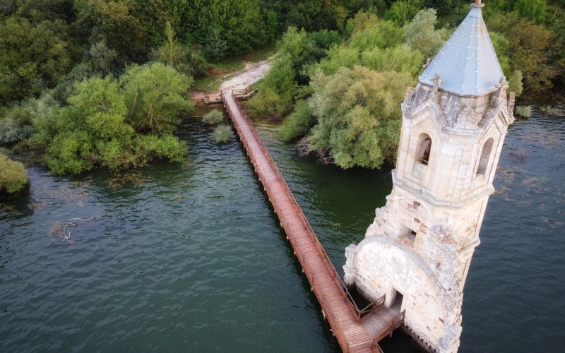 fish cathedral