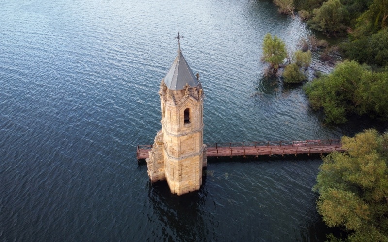 fish cathedral