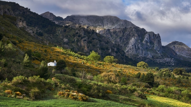 sierra de las nieves