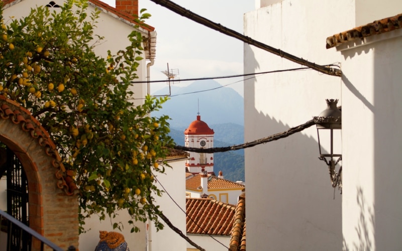 Street in Genalguacil
