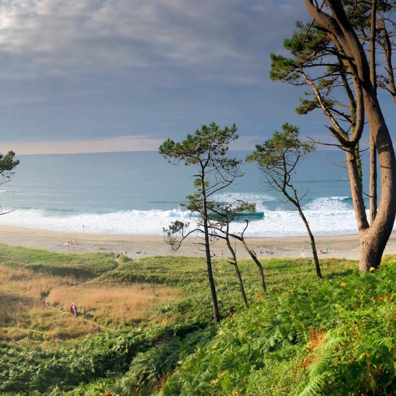Frejulfe Beach