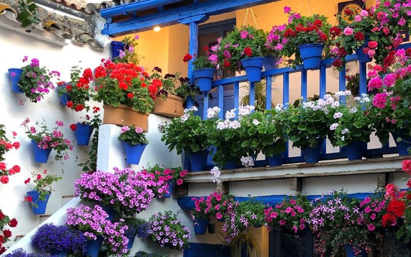 Courtyard in Córdoba